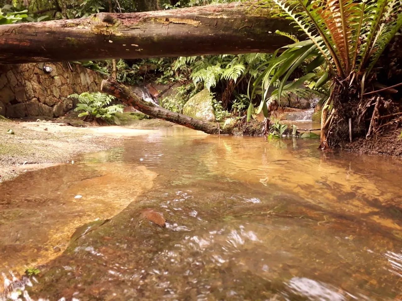 Propriedade Exclusiva em Florianópolis  - Foto 4