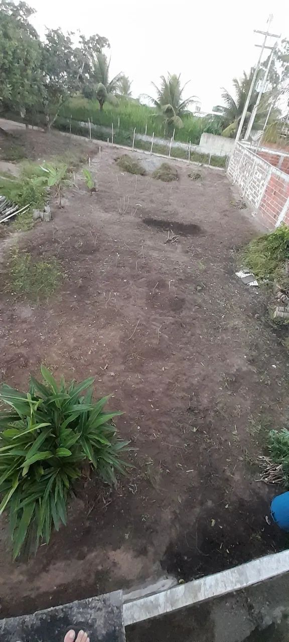Lote a venda 11 X 25 - Foto 2