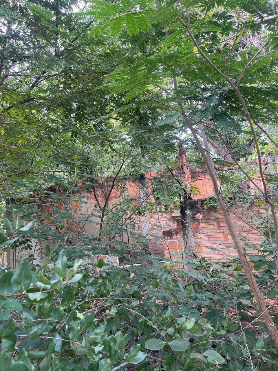 Propriedade Rural - Foto 3