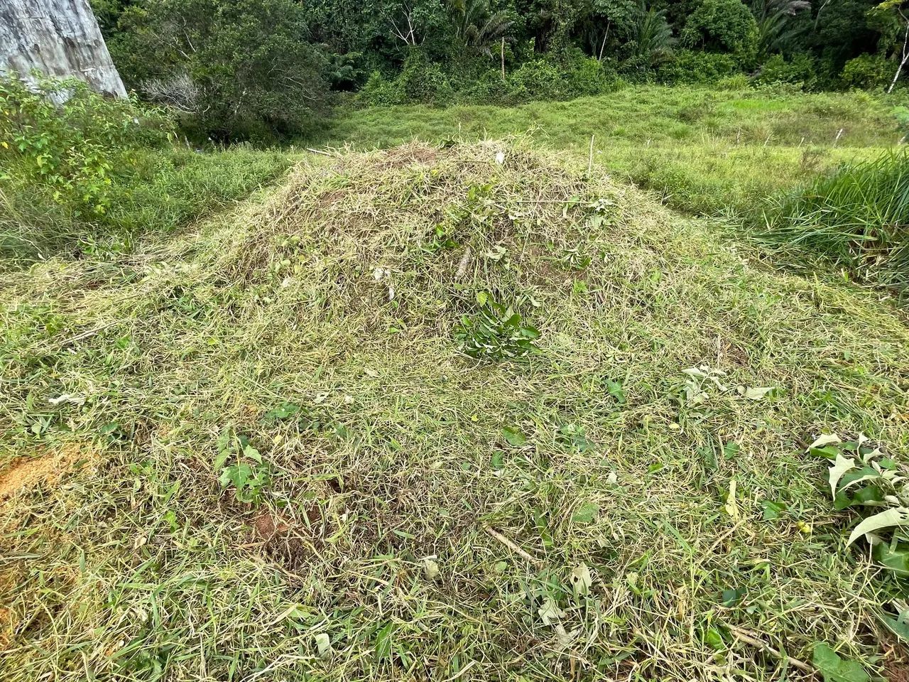 Vende-se lote no LUAR DE ESTÂNCIA - Colorado - Foto 2