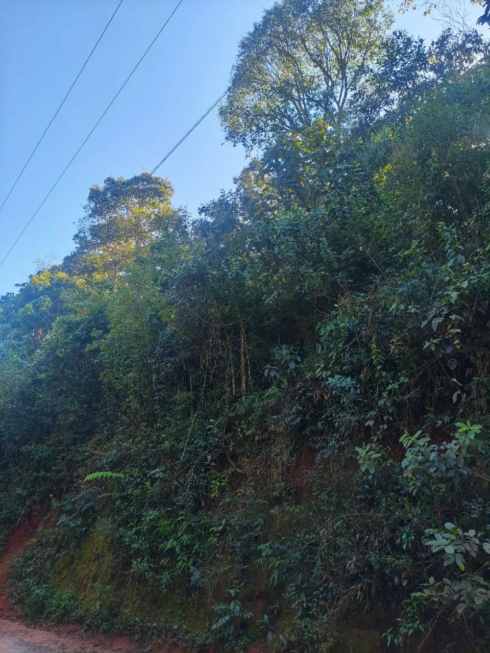Terreno para sítio  - Foto 2