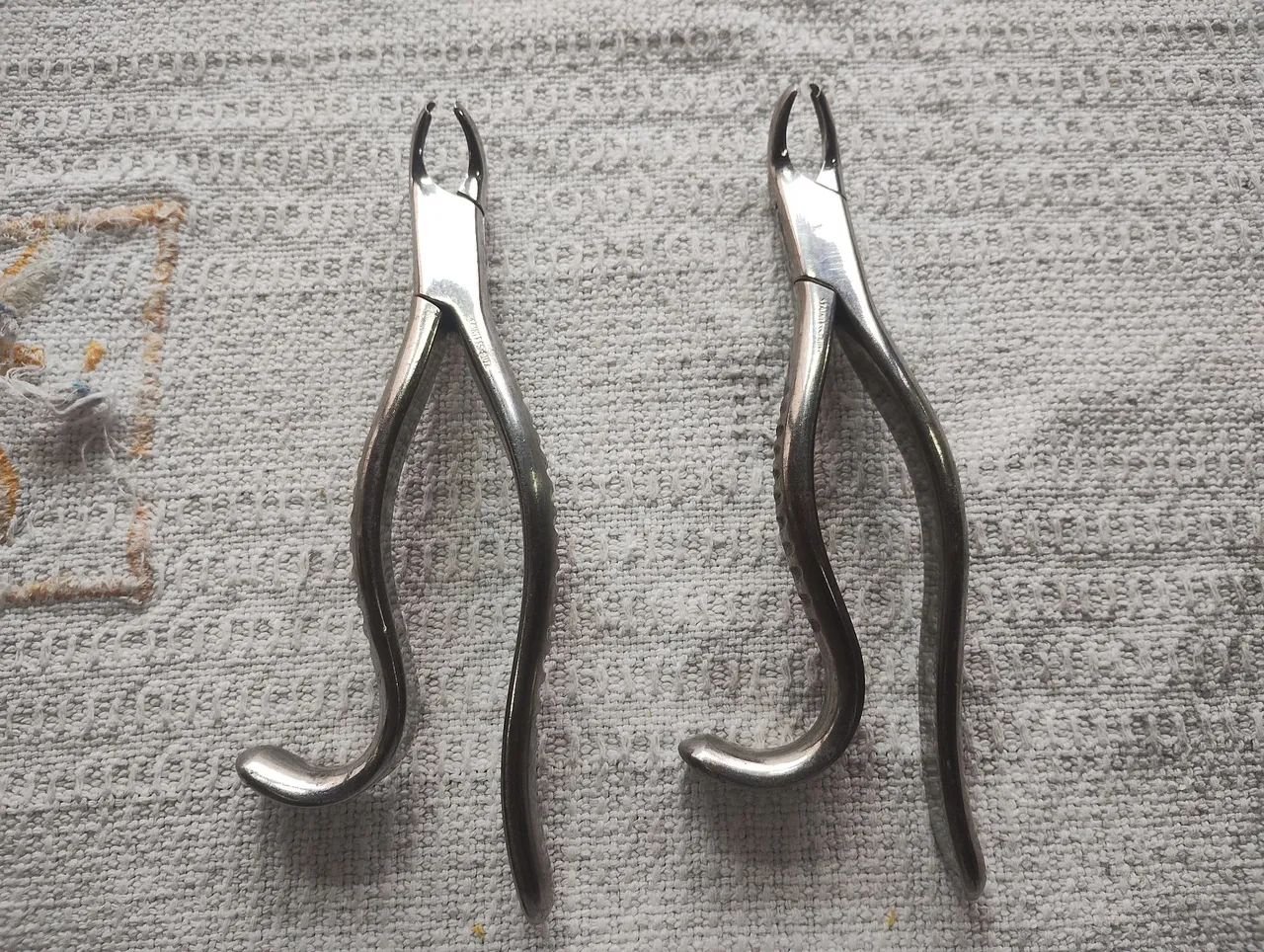 Alicates odontologia 