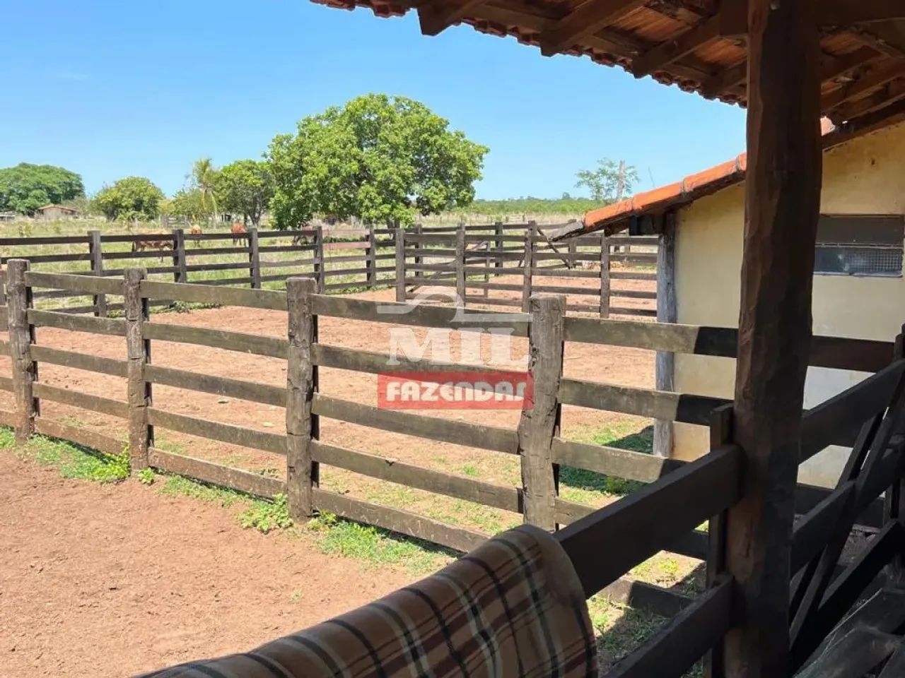 Fazenda 220 alqueires ( 1.064,8 hectares ) Peixe-TO - Foto 4