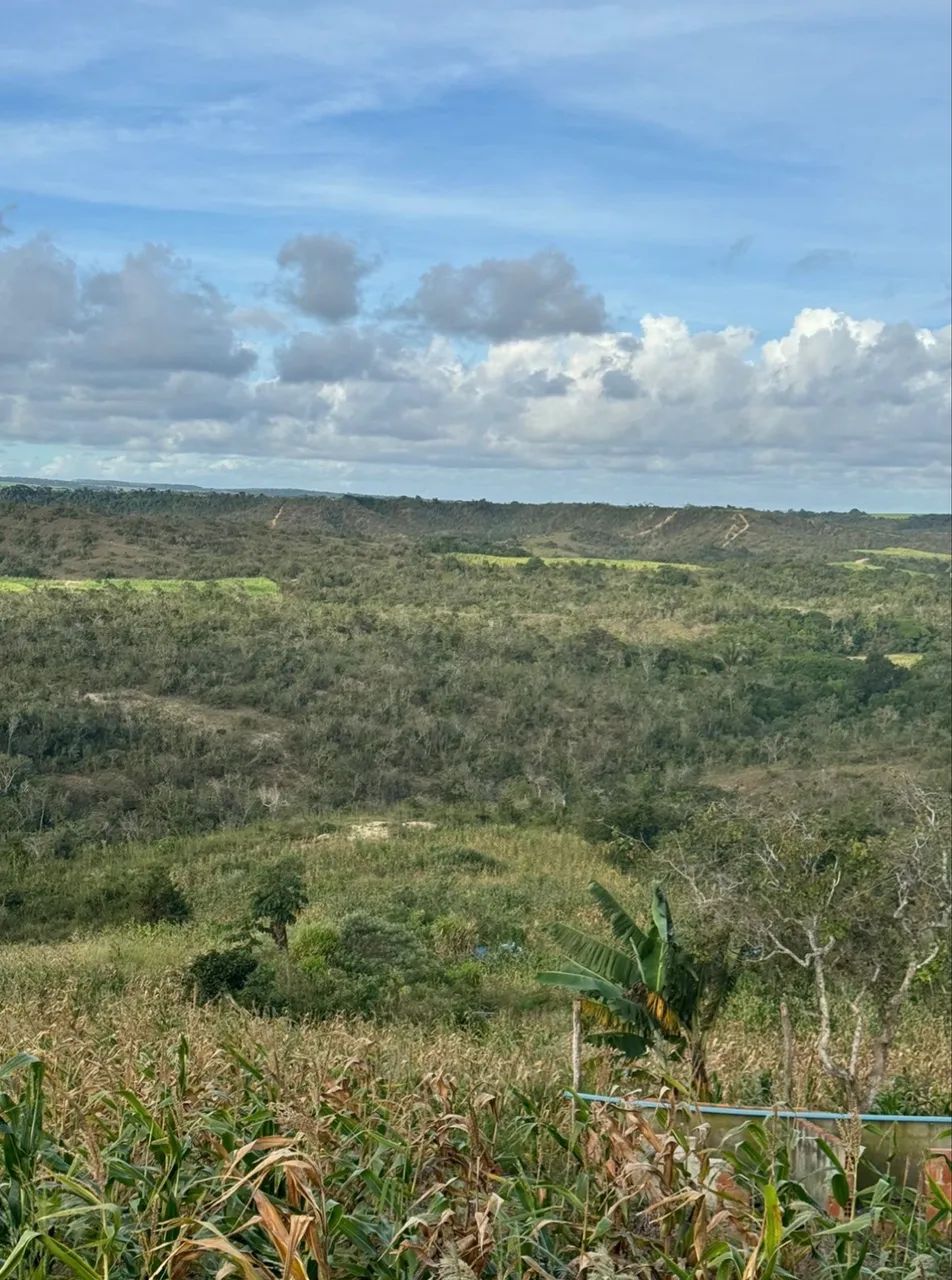 Chácara a venda  - Foto 4