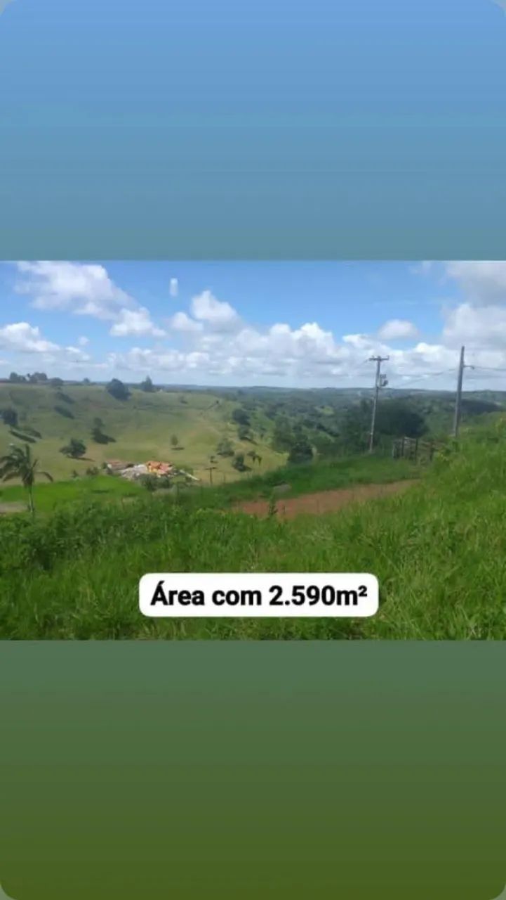 Área para chalés e pousada  - Foto 3