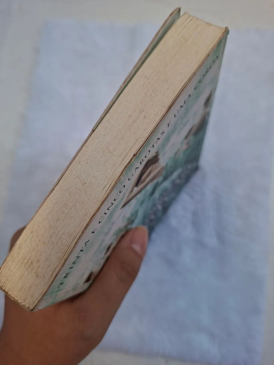 Livro A seleção  - Foto 3