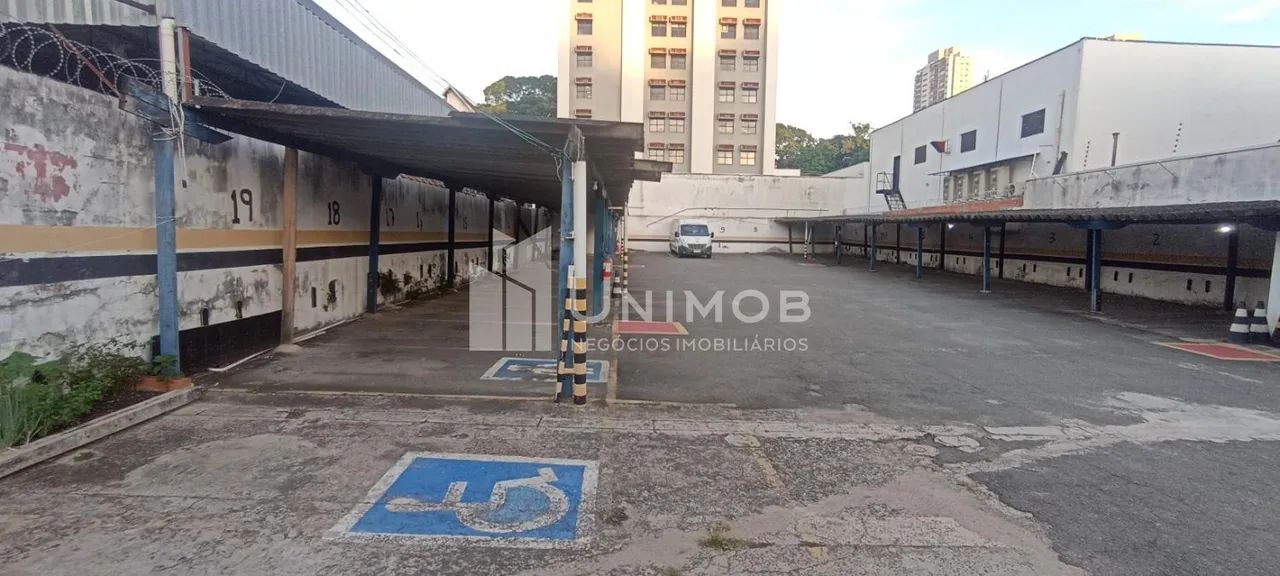 terreno - Vila Itapura - Campinas - Foto 5