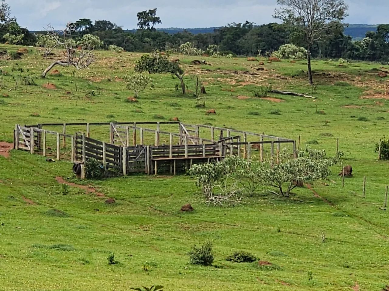 Fazenda dentro de Corumba go - Foto 3