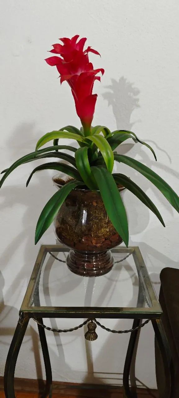 Mesa Lateral de Vidro com Vaso de Bromélia Artificial - Foto 3