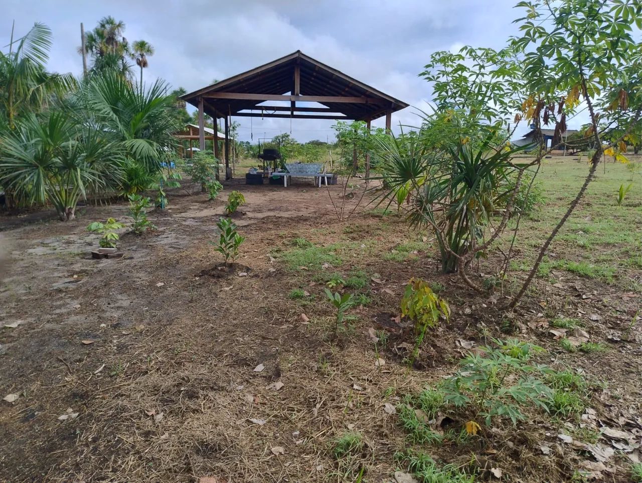 Sítio em Alto Alegre - Vicinal do Au Au - 5.000m² com Igarapé e Internet!
