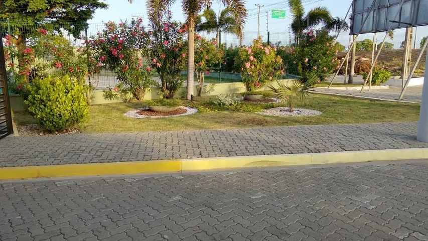 MELHOR LOTE PDD e PRAINHA AQUIRAZ - Foto 4
