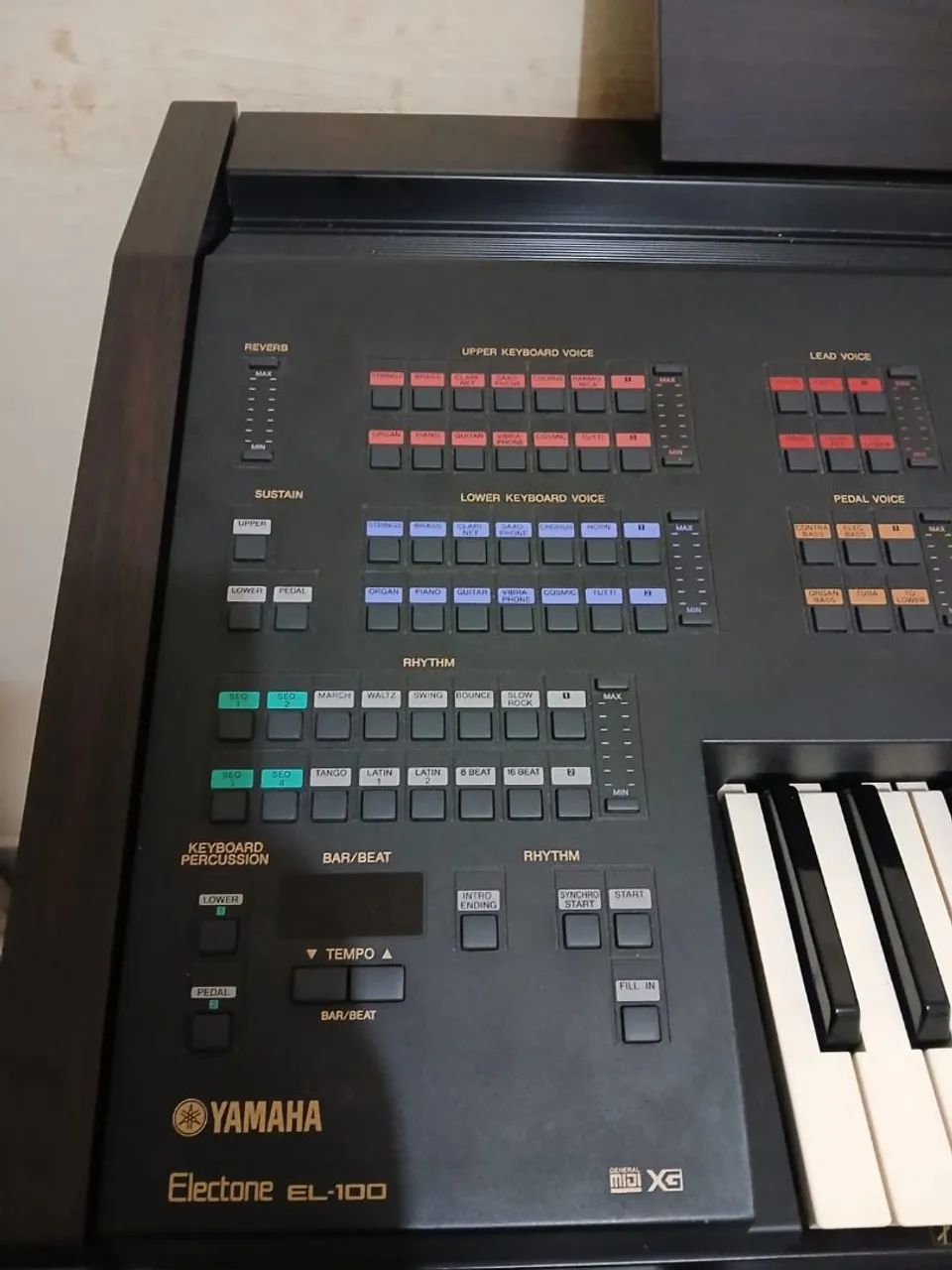 Órgão musical 