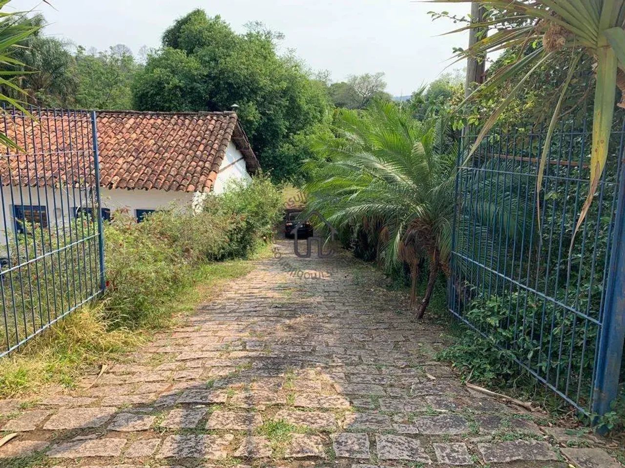 Fazenda à venda em Joaquim Egídio. - Foto 4