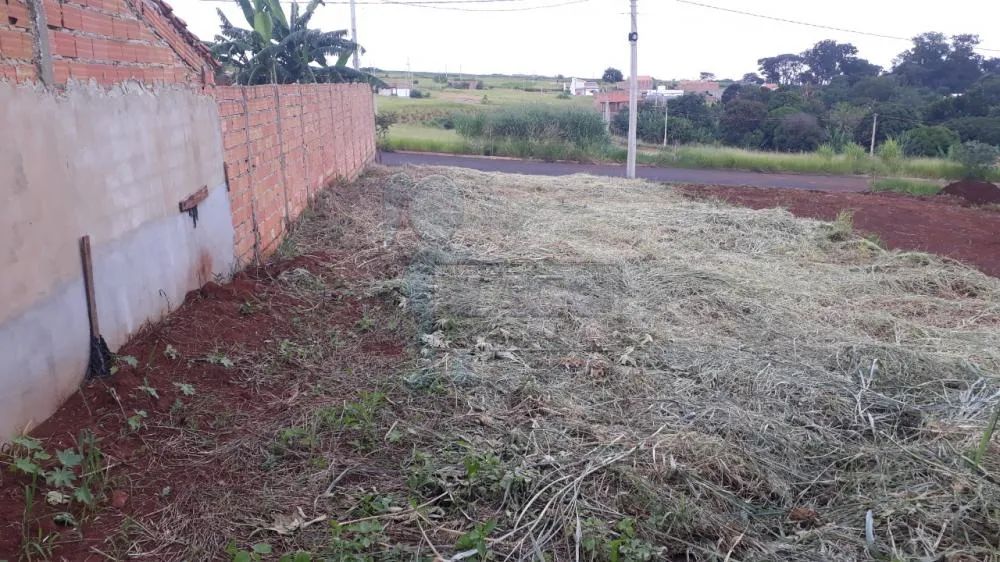 TERRENO EM BRODOWSKI - Foto 4