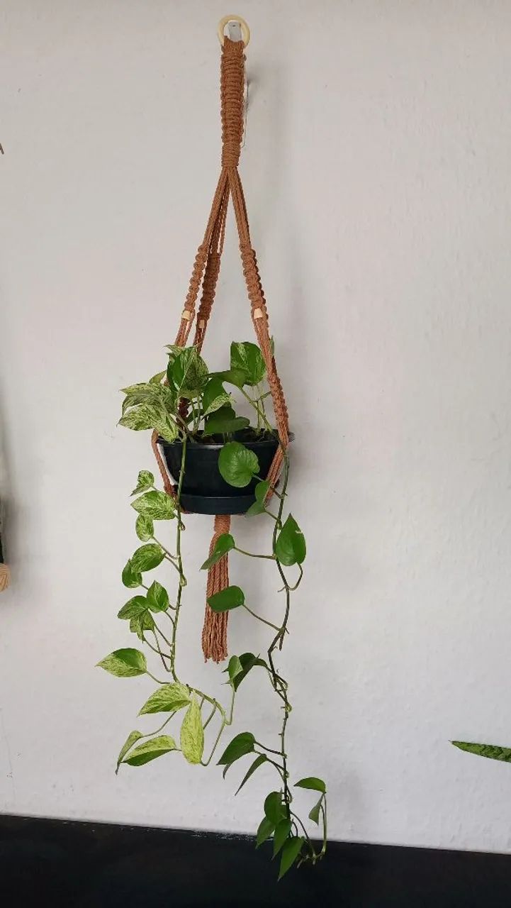 Suporte de plantas macramé - Foto 5