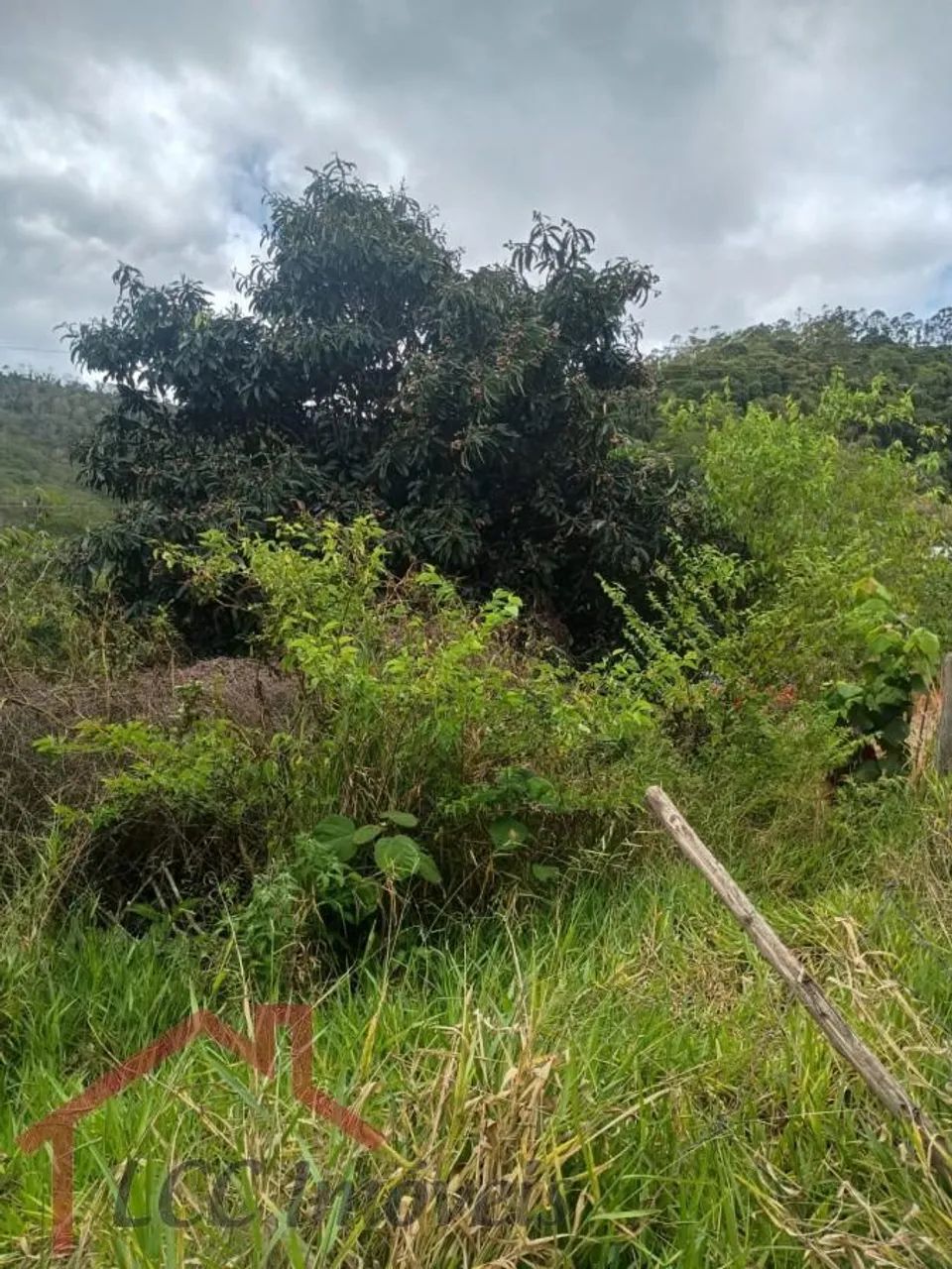 Terreno Rural para Venda em Salesópolis, Paraitinguinha - Foto 2