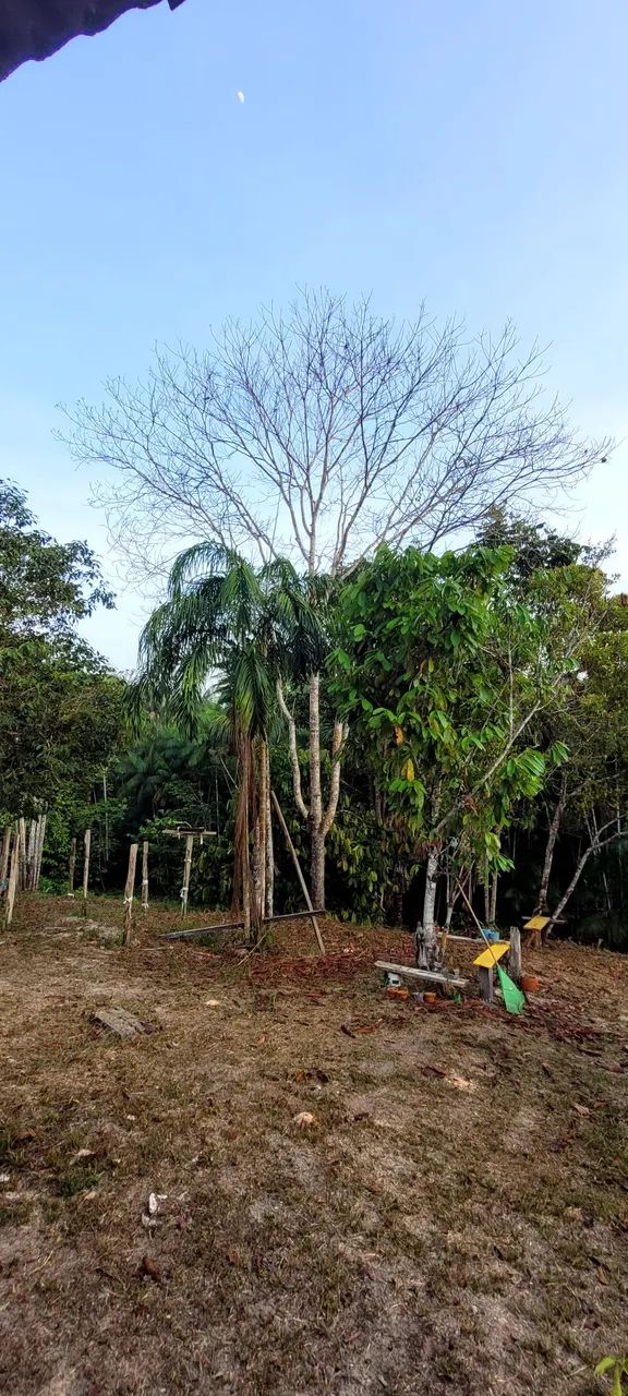 Sitio no  Ramal castanehira  - Foto 3