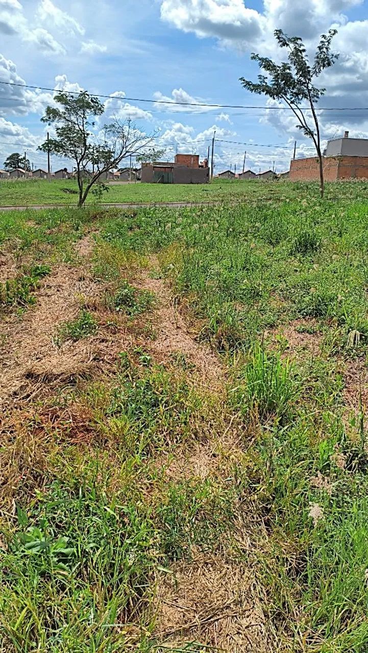 Terreno Bella cravinhos 2 - Foto 2