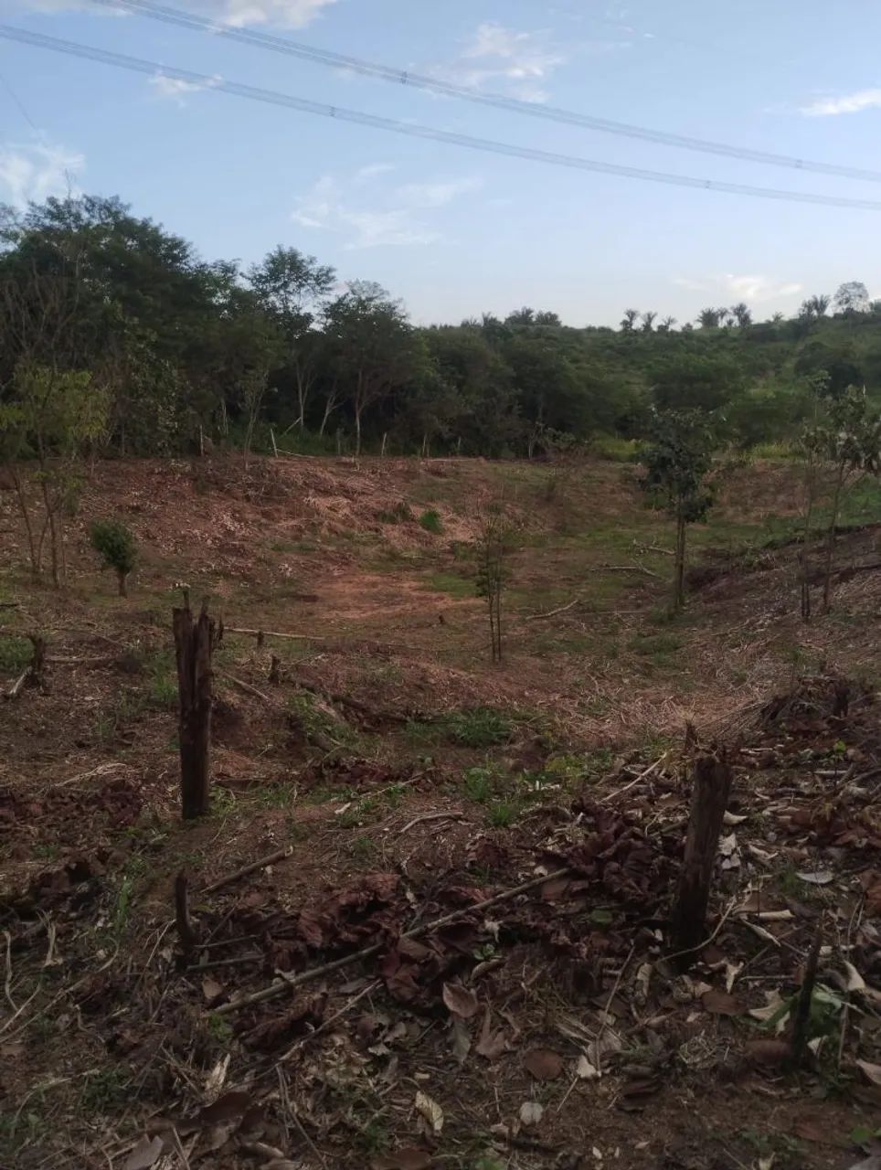 Vende-se ou troca chácara próximo a palmares II - Foto 3