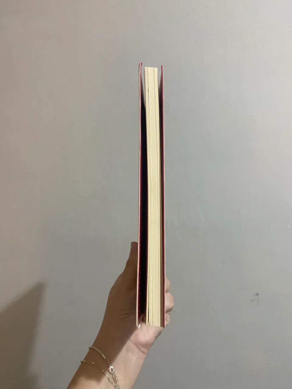 LIVRO POLLYANA  - Foto 4