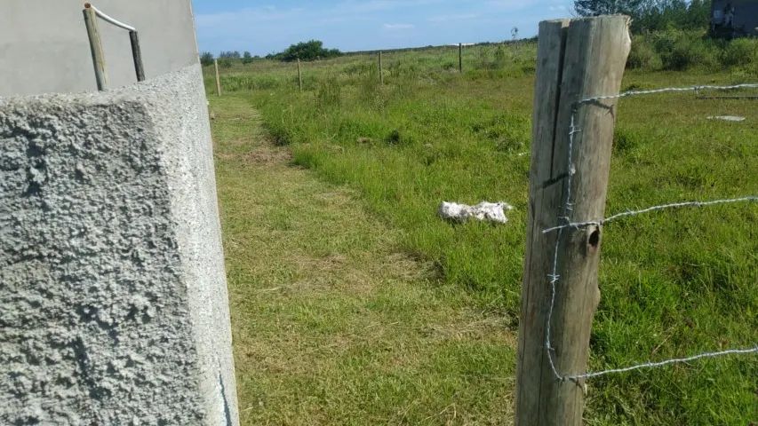LOTE EM CAMACHO, COM 600 m² ESCRITURADO, IPTU PAGO - Foto 2
