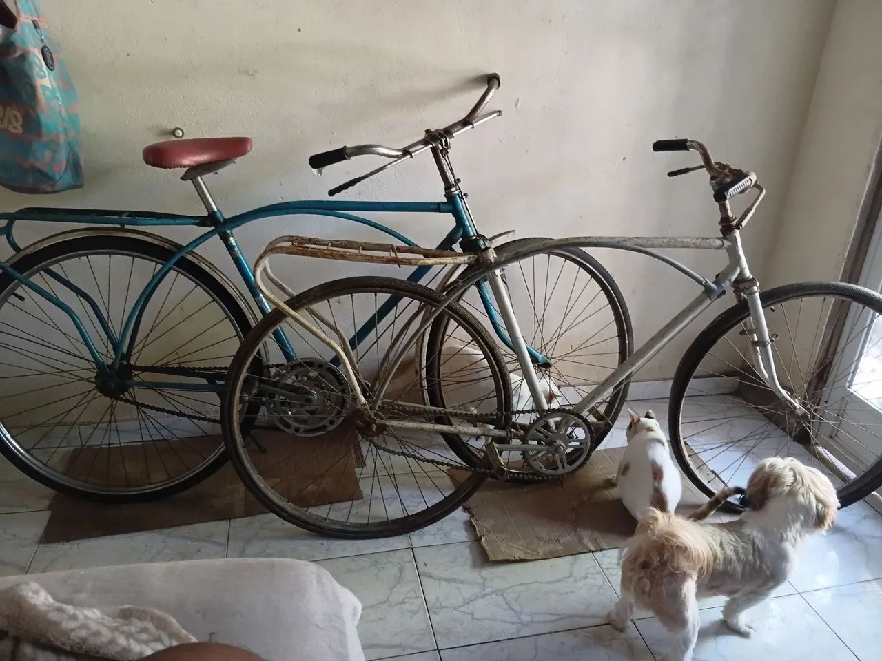 Bicicleta caloi arco duplo 