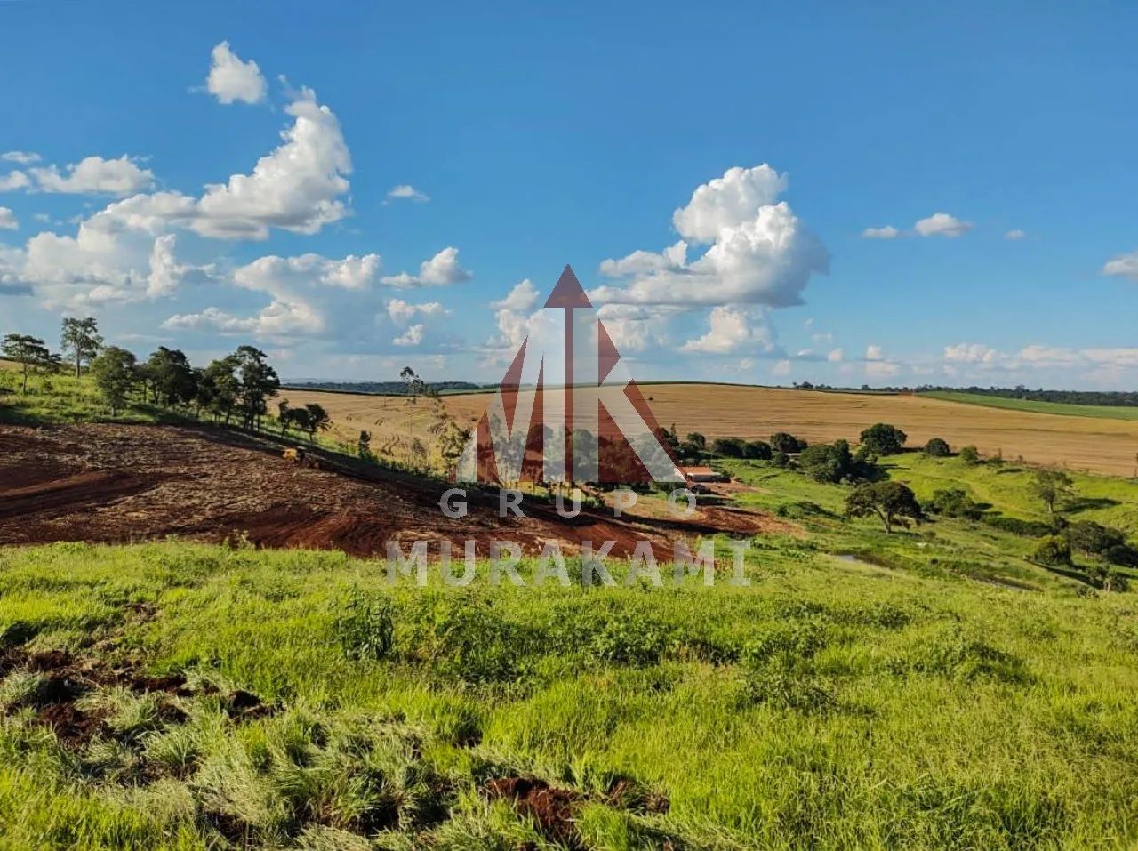 FAZENDA - BOM SUCESSO - PARANÁ - Foto 4