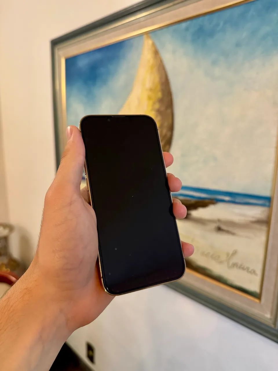 iPhone 13 Pro  - Foto 4
