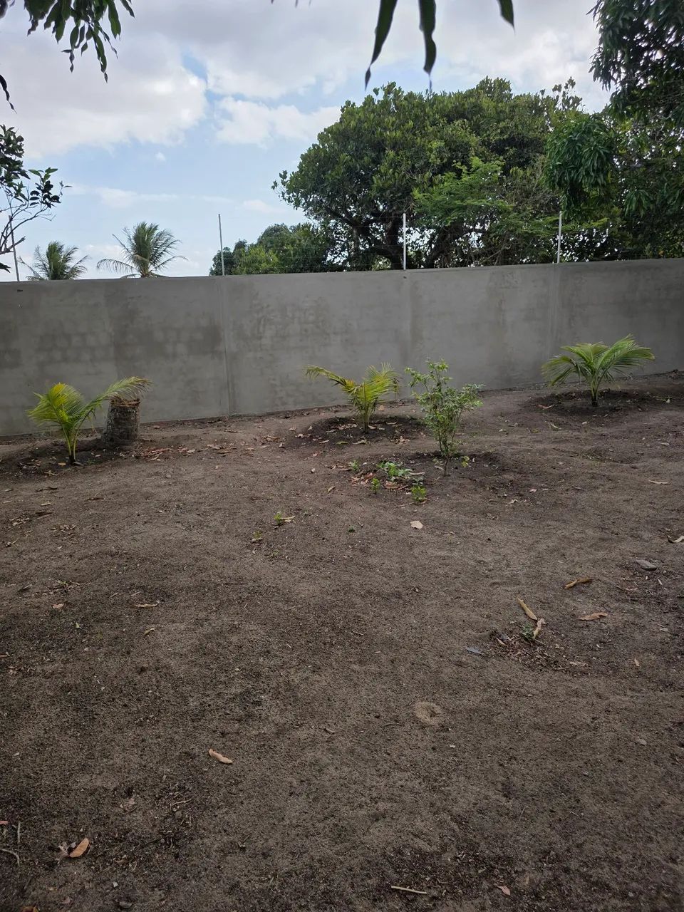 Chácara próximo a Campina - Foto 9
