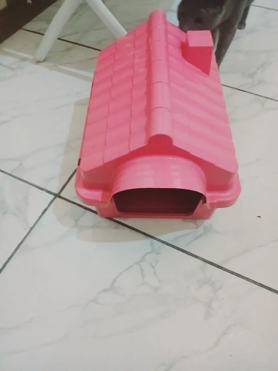 Casinha de gato