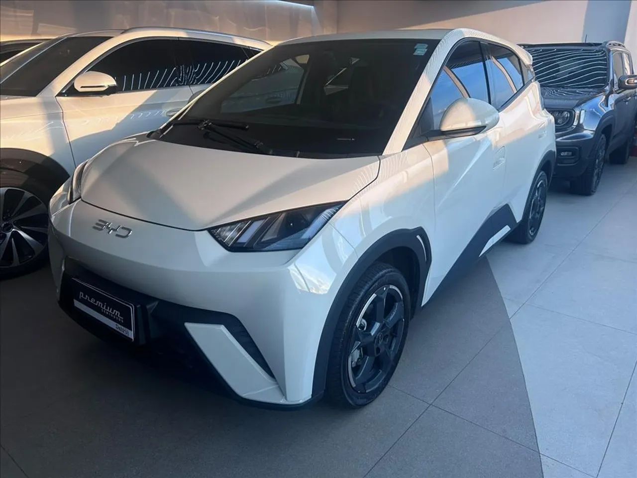 BYD Dolphin Mini (Elétrico) 2025 - Foto 3