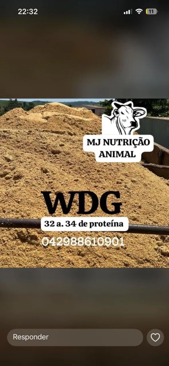 WDG 