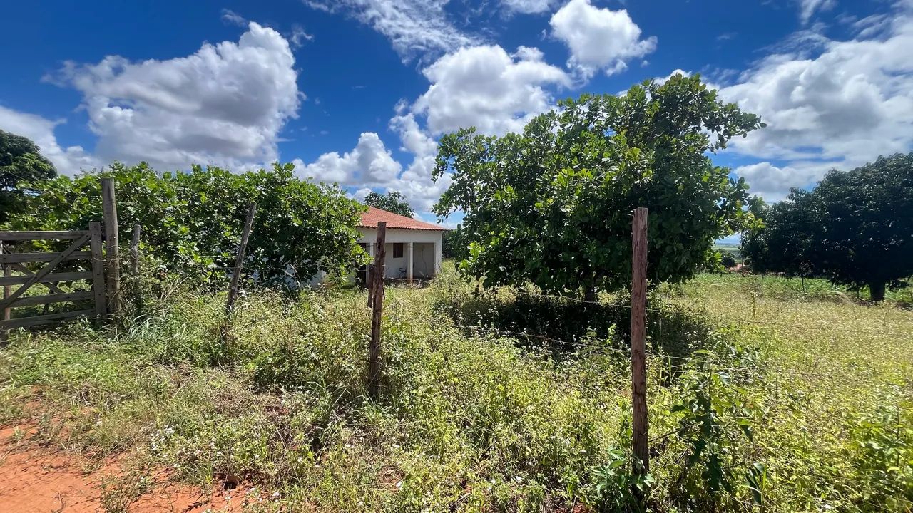 Sítio na Tabela Arapiraca-Al - Foto 5