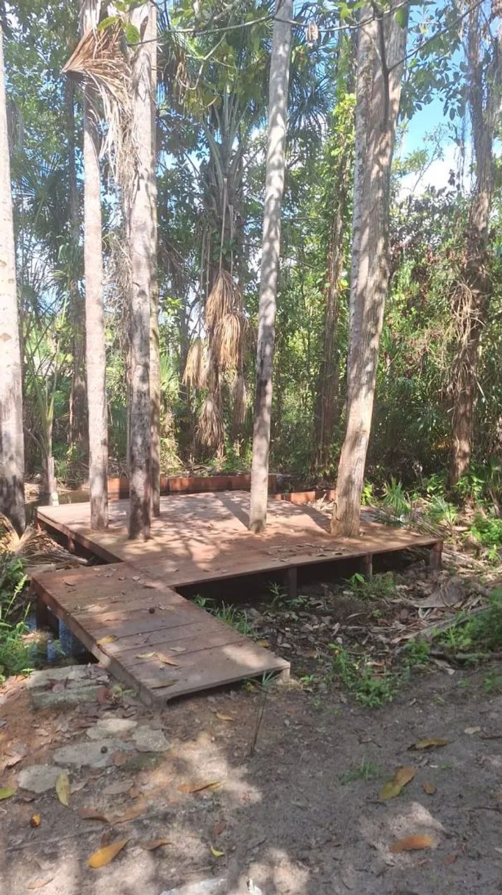 Vende se Chácara no Cantazinho. - Foto 5