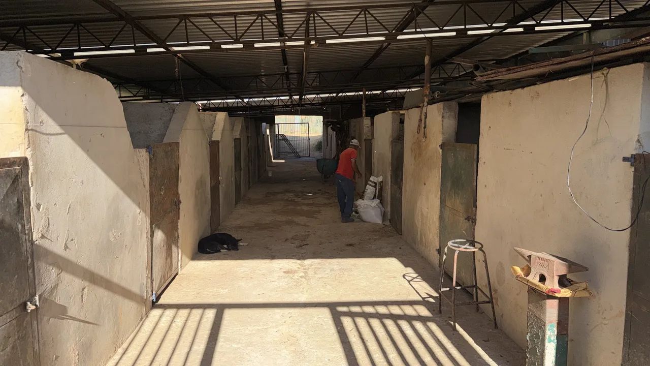 Trabalhador rural  - Foto 3