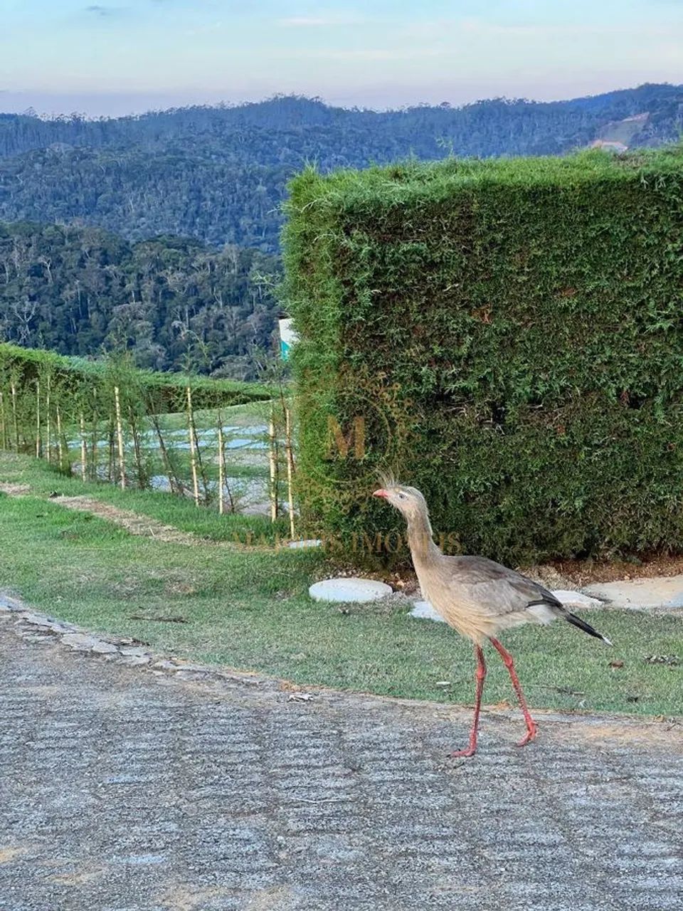 Terreno em condomínio, Pedra Azul - Foto 3