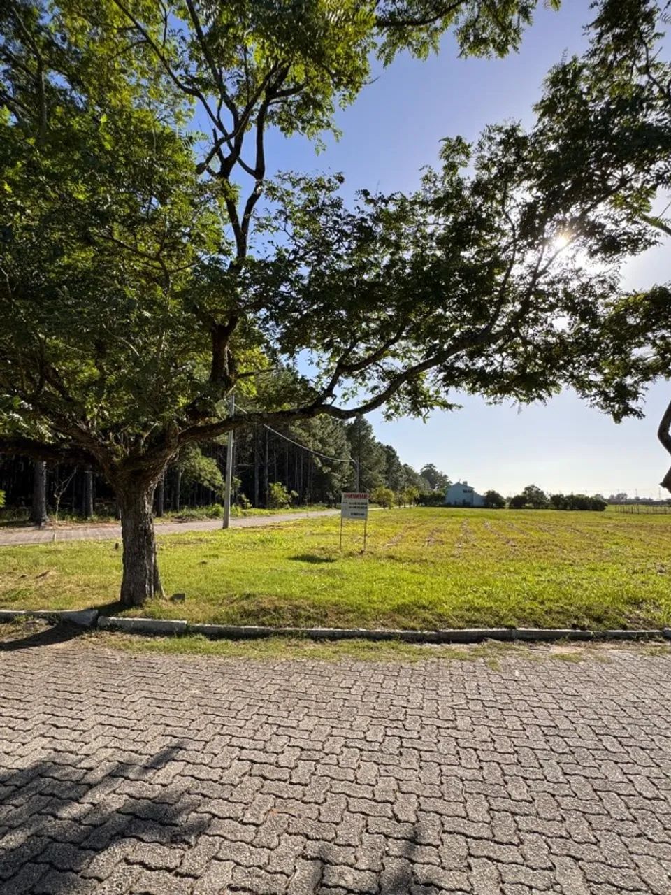 Terrenos Villa Assumpção/ Las Acácias - Foto 3