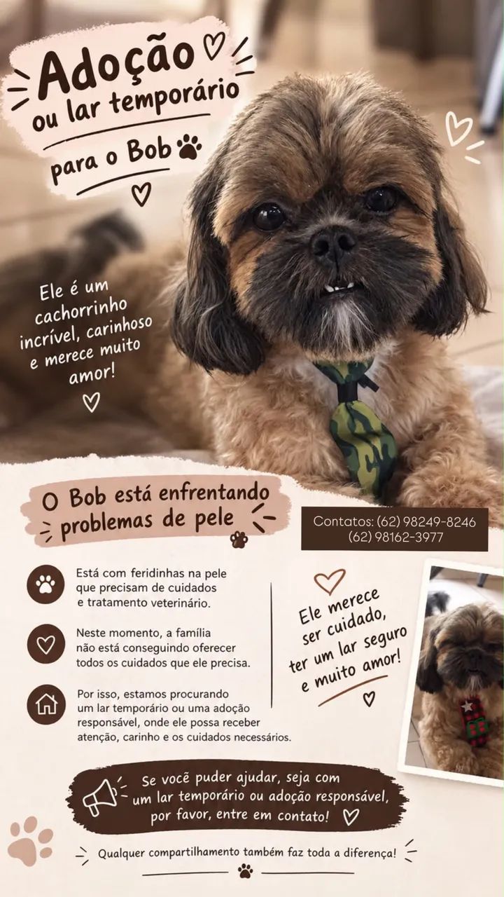 Adoção responsável 