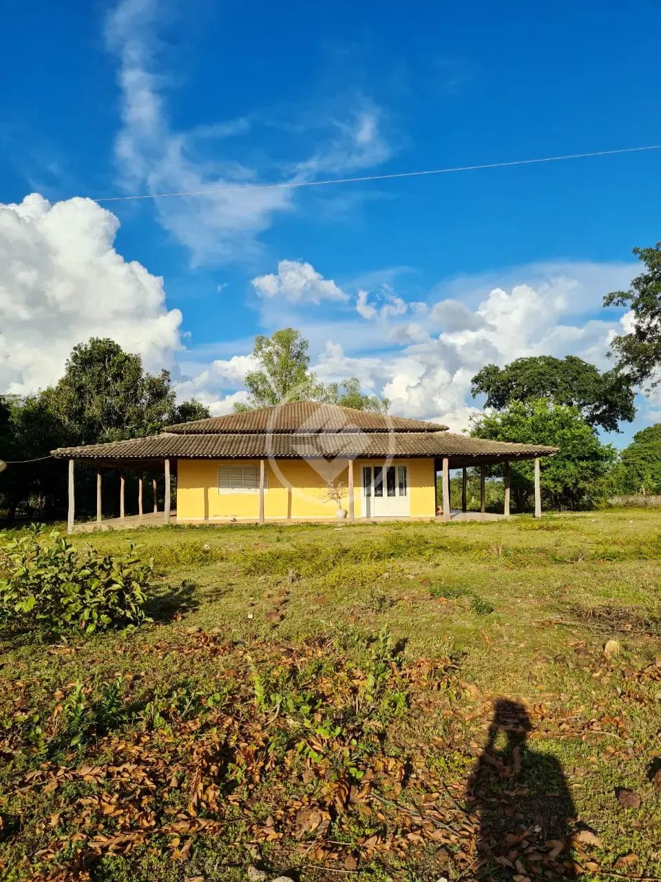 sitio com otima oportunidade de produtividade e lucratividade . codigo: 74117 - Foto 4
