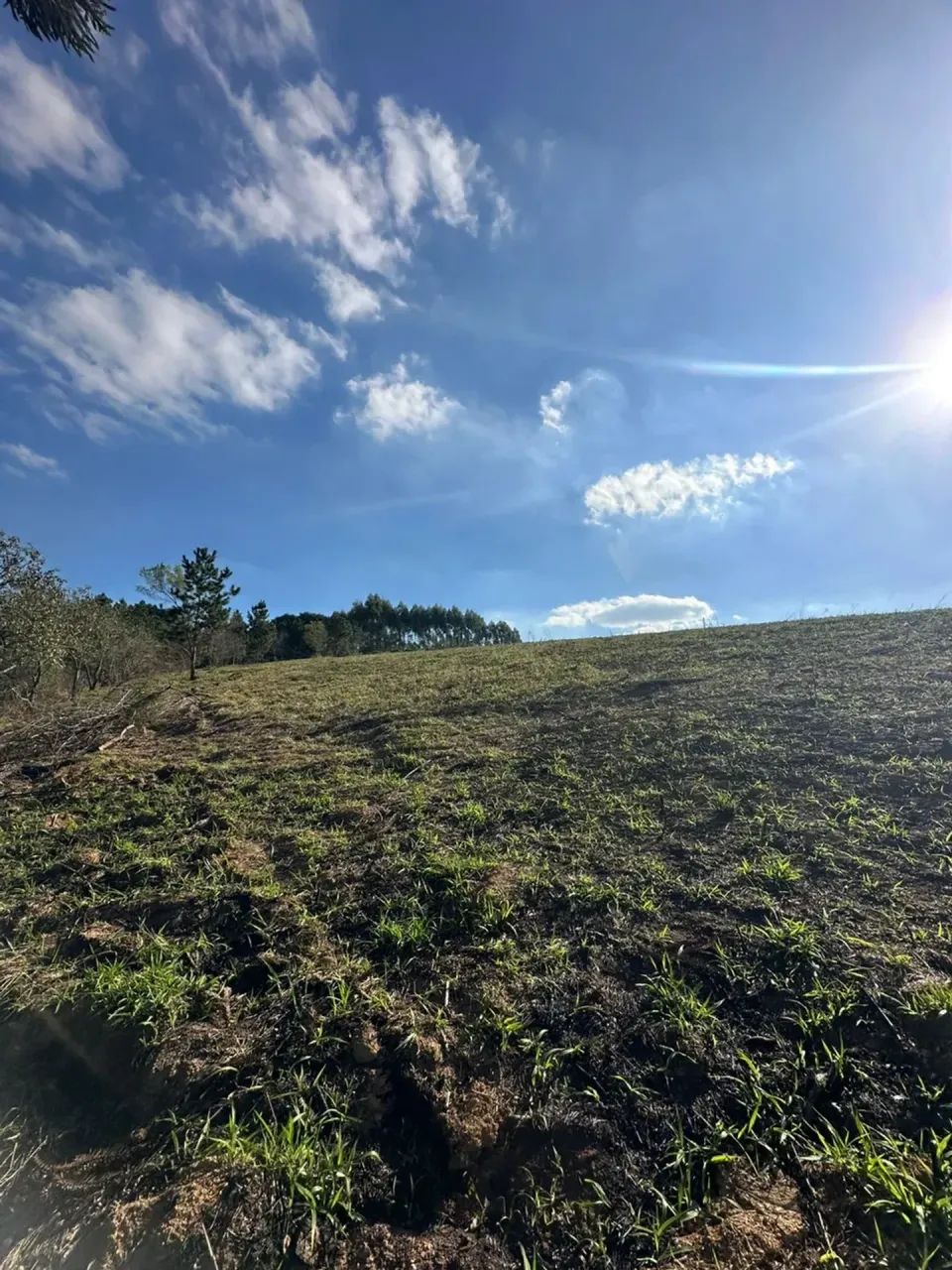 Construa em Ibiúna: Terreno 500m² em Região Promissora - Foto 4