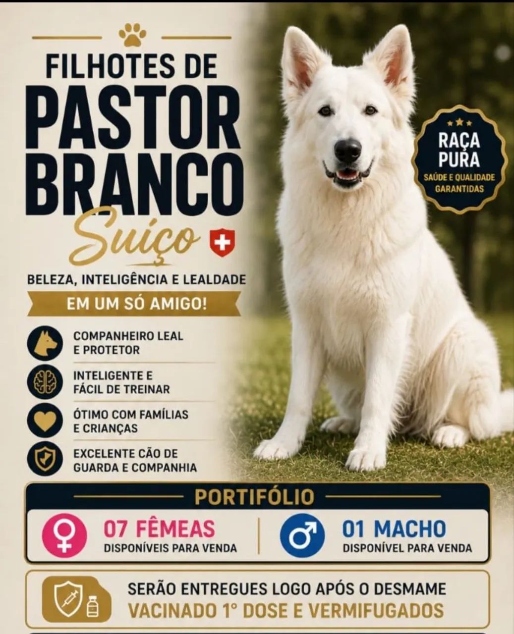 Um grande parceiro  - Foto 3