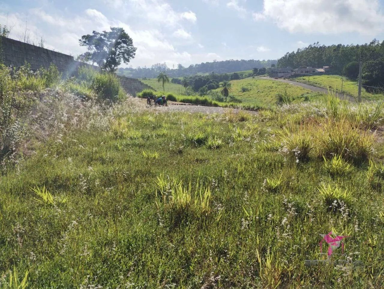 Terreno à venda - Rio Claro - Foto 3