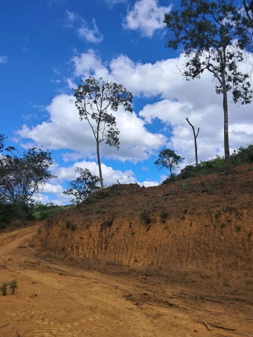 Chácara 1500m2 com água, luz e Internet (com proprietário) - Foto 3