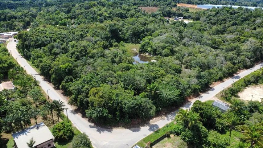 TERRENO VENDA - TARUMÃ - Foto 4