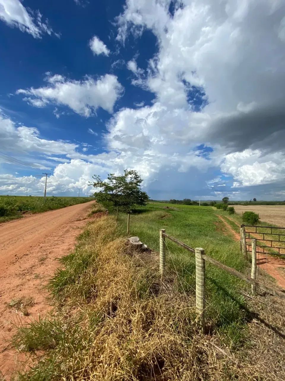 OPORTUNIDADE RURAL EM CIANORTE - Foto 4