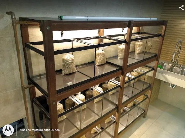 Estrutura Completa para Loja de Aquarismo e Pet Shop - Aquários, Estantes e Equipamentos - Foto 2