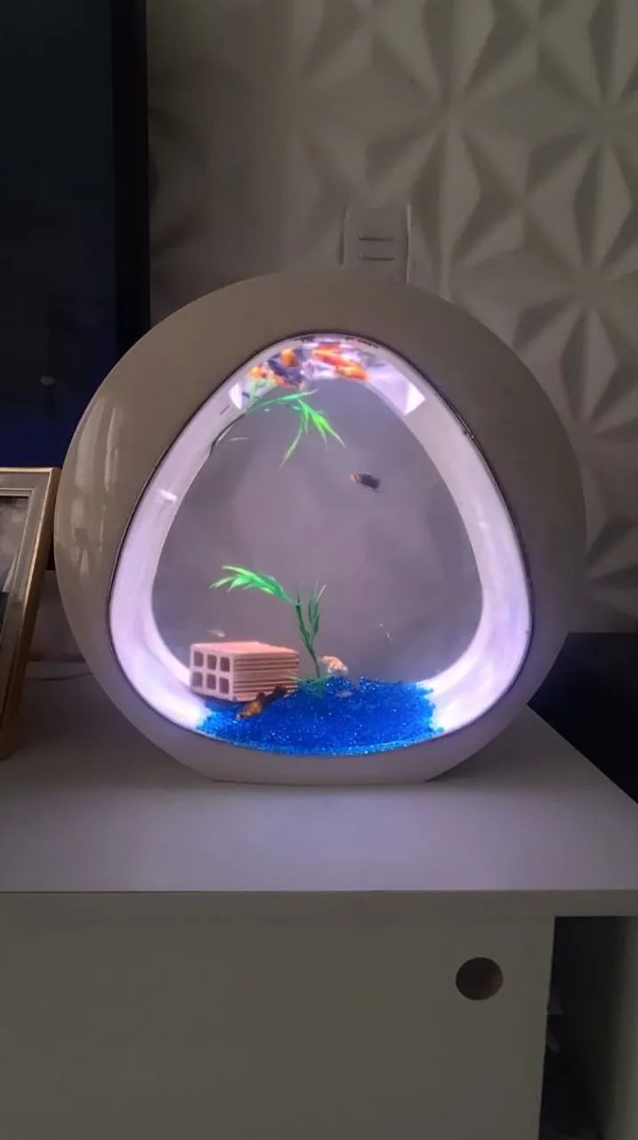 Aquario - Foto 2