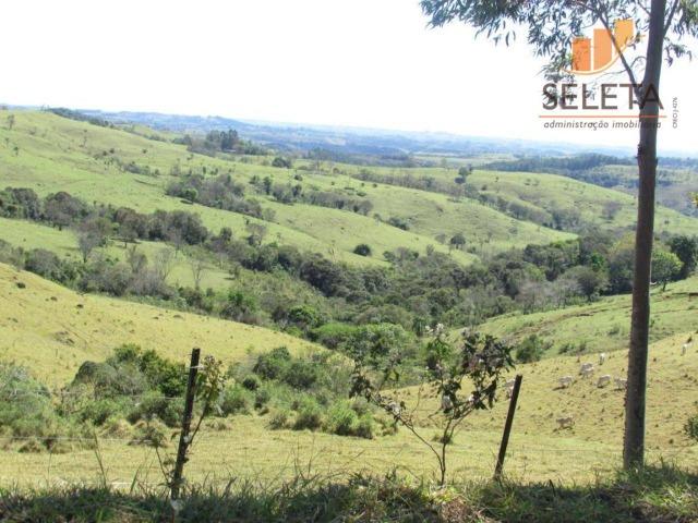 Fazenda- Venda- 8km da BR 277