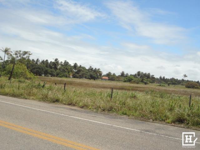 Terreno à venda - mosqueiro - Foto 3
