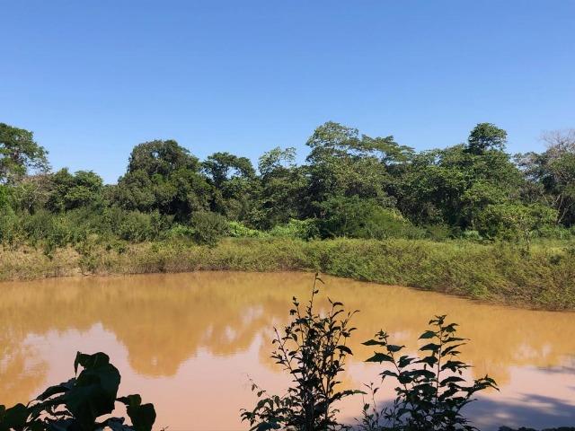 Chacara em Sto Antonio Leverger 110metros de Beira de Rio C/Tanque de Peixes Arvores Fruti - Foto 11